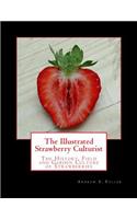 Illustrated Strawberry Culturist