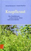 Das Knopfkraut