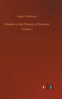 Studies in the Theory of Descent