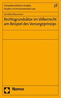 Rechtsgrundsatze Im Volkerrecht Am Beispiel Des Vorsorgeprinzips: (Umweltrechtliche Studien - Studies on Environmental Law)