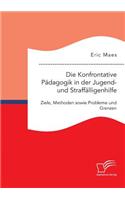 Konfrontative Pädagogik in der Jugend- und Straffälligenhilfe: Ziele, Methoden sowie Probleme und Grenzen