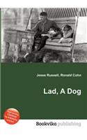 Lad, a Dog