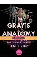 Gray's Anatomy