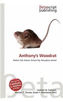 Anthony's Woodrat: (English)