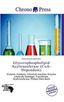 Glycerophospholipid Acyltransferase (Coa-Dependent): (English)