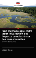 méthodologie cadre pour l'évaluation des impacts cumulatifs sur les zones humides