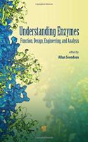 Understanding Enzymes