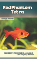 Red Phantom Tetra