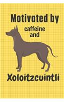 Motivated by caffeine and Xoloitzcuintli