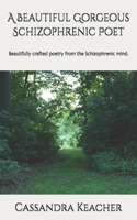 A Beautiful Gorgeous Schizophrenic Poet