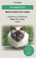 Siam Katze