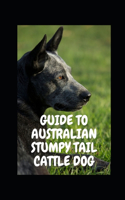 Guide to Australian Stumpy Tail Cattle Dog