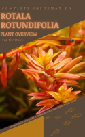 Rotala Rotundifolia