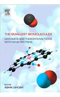 The Smallest Biomolecules
