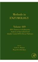 RNA Turnover in Eukaryotes