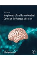 Atlas of the Morphology of the Human Cerebral Cortex on the Average Mni Brain