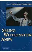 Seeing Wittgenstein Anew