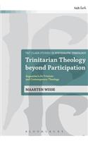 Trinitarian Theology beyond Participation
