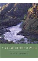 A View of the River