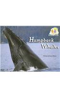 Steck-Vaughn Pair-It Books Emergent 1: Individual Student Edition Humpback Whales