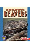 Building Beavers
