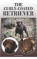 The Curly-Coated Retriever