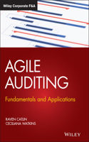 Agile Auditing