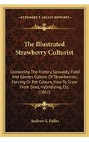 The Illustrated Strawberry Culturist