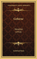 Gehirne