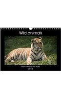 Wild Animals from Around the World 2018