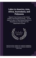 Labor in America, Asia, Africa, Australasia, and Polynesia: Reports From Consuls of the United States in the Several Countries ... On the State of Labor in Their Several Districts, in Response to a Circular F