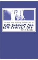 One Perfect Life