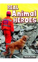 Real Animal Heroes