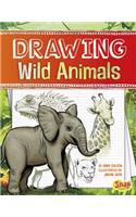 Drawing Wild Animals