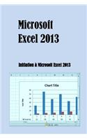 Microsoft Excel 2013