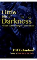 Little Bits of Darkness: Fiction Stranger Than Fiction(English)