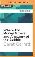 Where the Money Grows and Anatomy of the Bubble