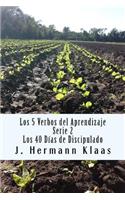 Los 5 Verbos del Aprendizaje