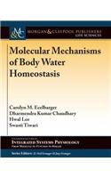 Molecular Mechanisms of Body Water Homeostasis