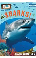 Sharks! (Animal Planet Chapter Books #1)