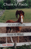 Chain of Foals Color Edition