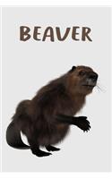 Beaver Journal