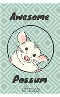 Opossum a notebook and daily gifts