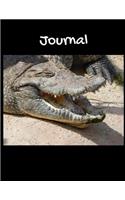 Journal: Happy Crocodile Themed Journal 8.5 X 11 100 Pages