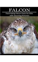 Falcon: Fascinating Falcon Facts for Kids with Stunning Pictures!