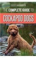 The Complete Guide to Cockapoo Dogs