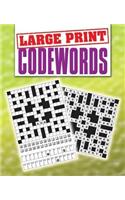 Large Print Codewords