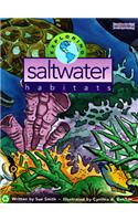 Exploring Saltwater Habitats