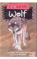 Solo Wildlife: Wolf