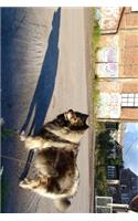 A Keeshond Dog Going on a Walk Journal: Take Notes, Write Down Memories in this 150 Page Lined Journal